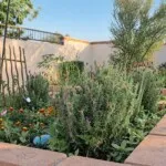 Show photo 8: Raised garden beds at Barton House