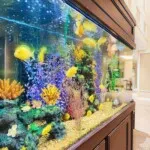 Show photo 26: Aquarium at Tarina of Cypresswood