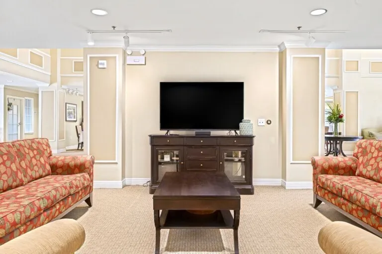 TV lounge at Tarina of Cypresswood