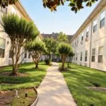 Show photo 4: Courtyard lawn at Tarina of Kingwood