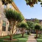 Show photo 6: Courtyard walkway at Tarina of Kingwood