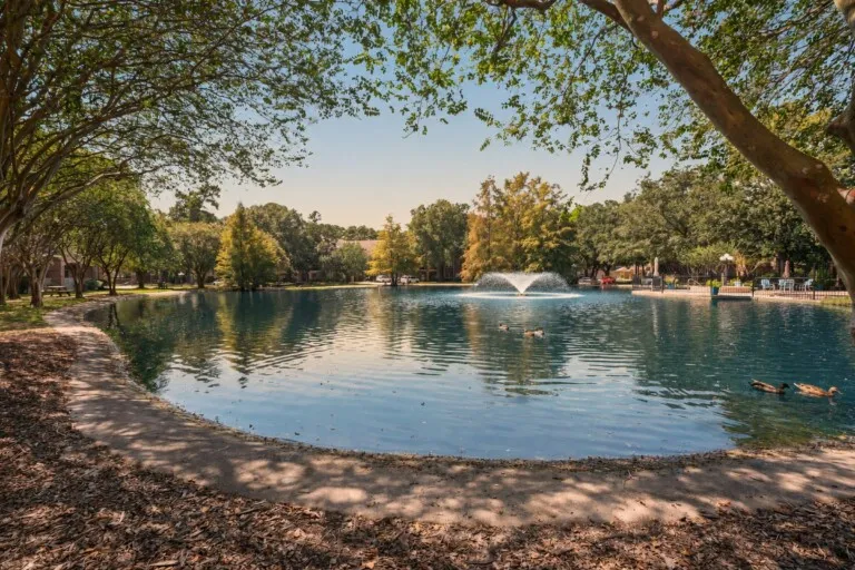 The pond at The Terraces at Kingwood
